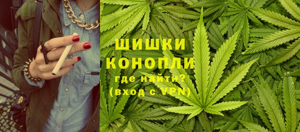 прущие крисы Аркадак