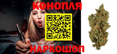 стаф Кулебаки