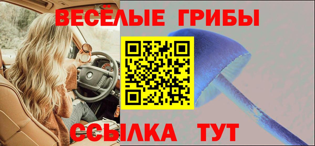 Краснознаменск  Галлюциногенные грибы мицелий  цены наркотик  Псилоцибиновые грибы ЛСД  Вход с VPN 